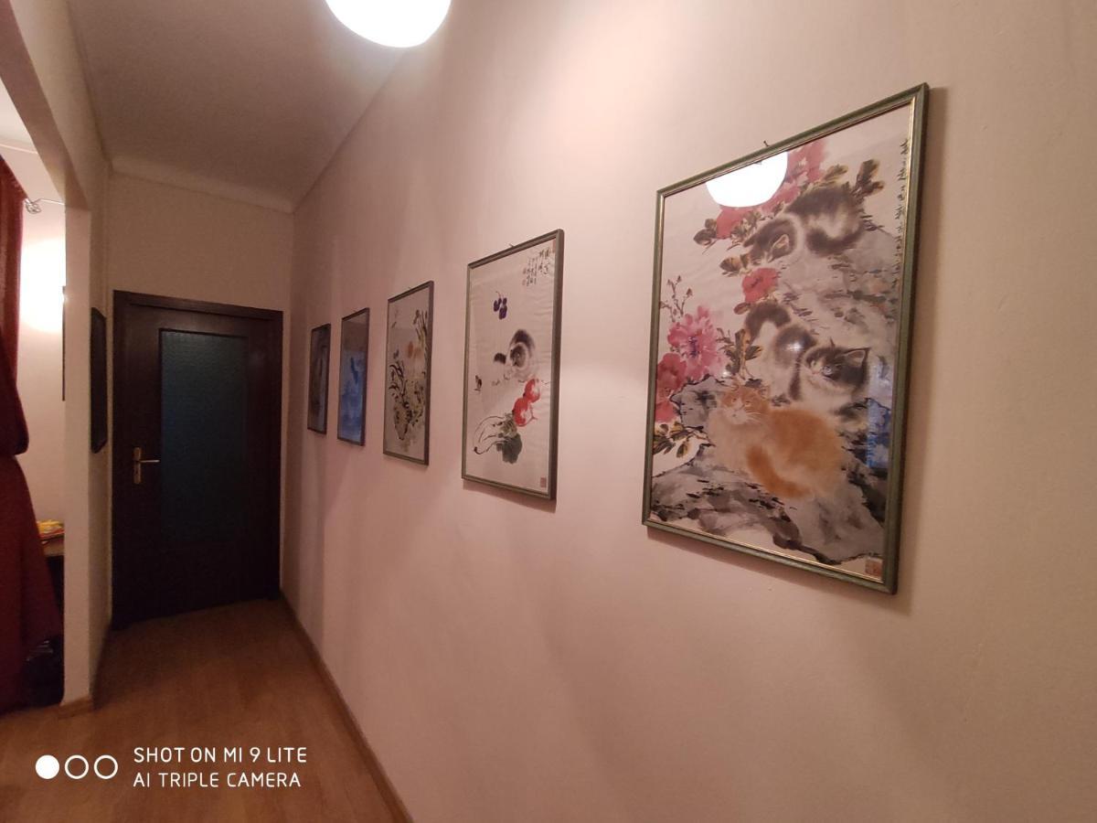 شقة Ex Ostu Impero: Vino, Tartufo Ed Ospitalita لا مورّا المظهر الخارجي الصورة